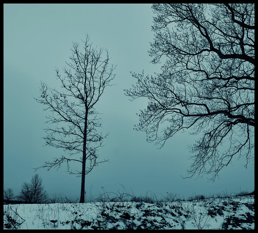 Winter's Patience Photograph by David DeCenzo - Fine Art America