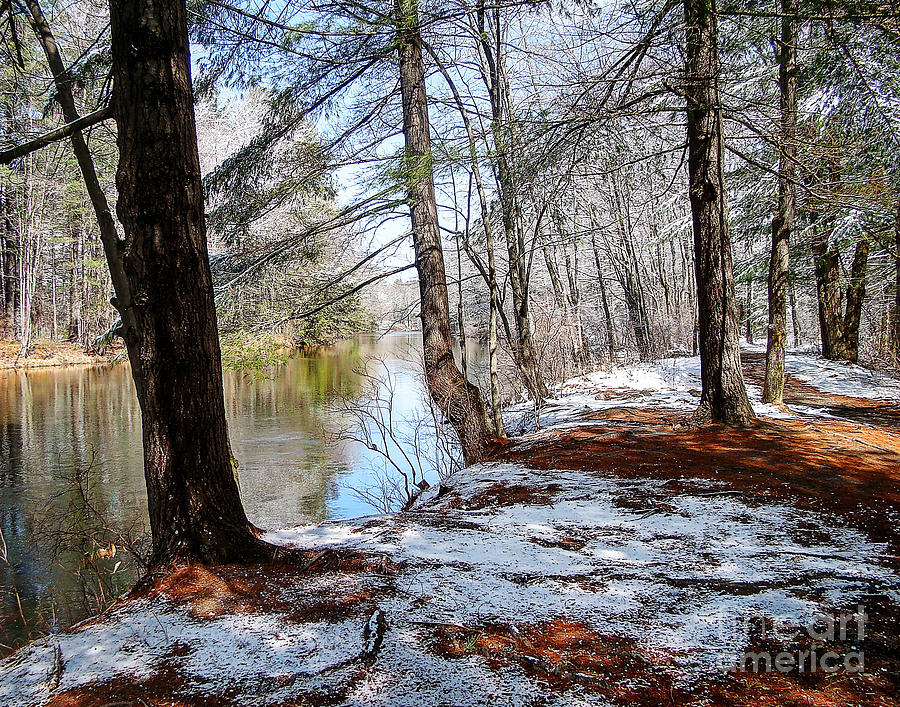 Nature Photograph - Winters Remains by Betsy Zimmerli