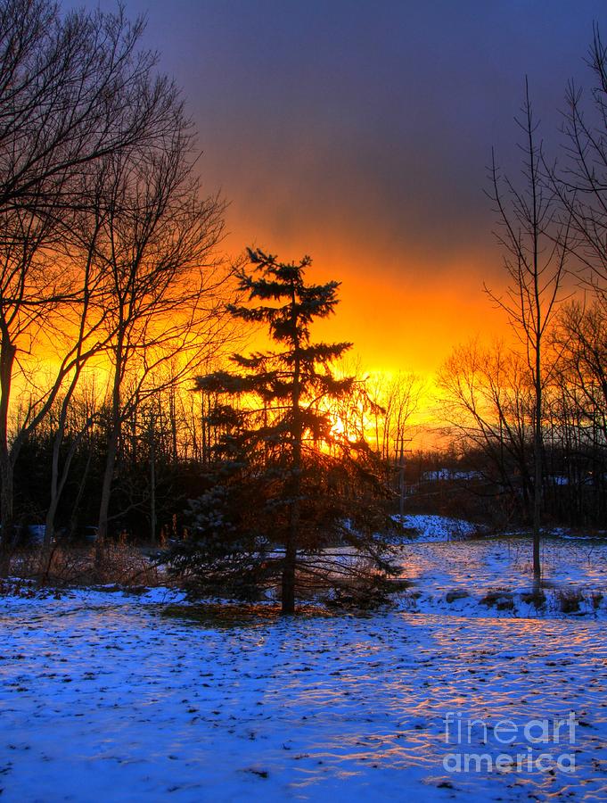 Winters Sunset Photograph by Robert Pearson