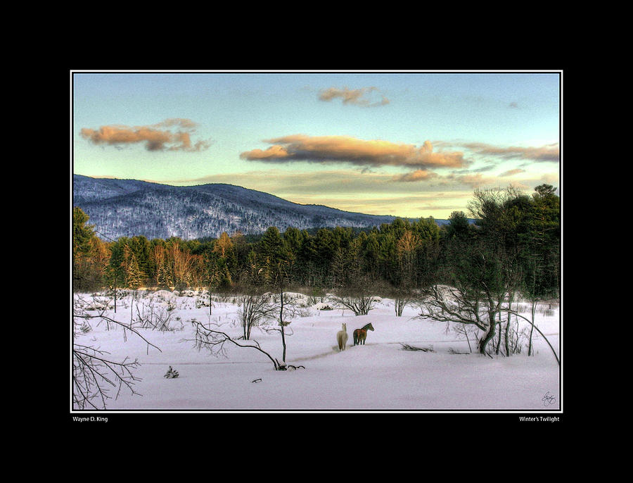 Winters Twilight Poster Photograph by Wayne King