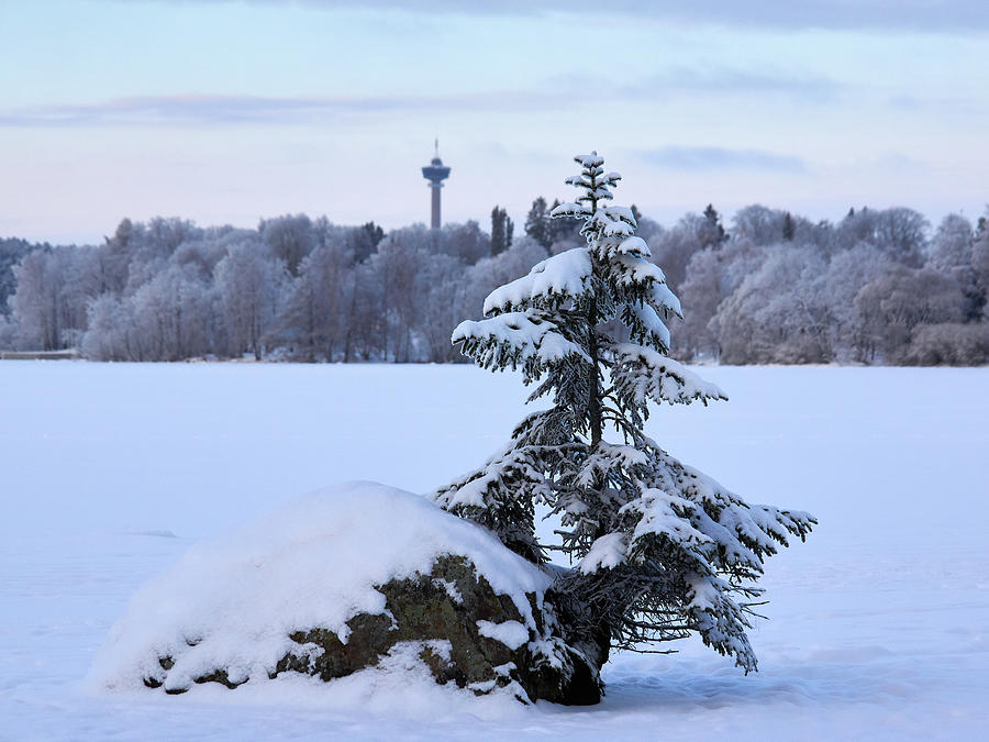 Winterscene 12 Photograph by Jouko Lehto