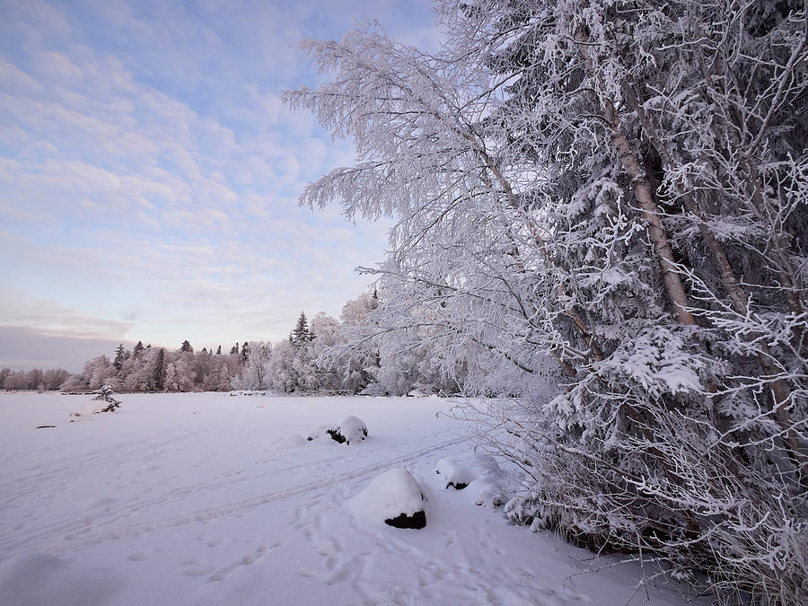 Winterscene 4 Photograph by Jouko Lehto