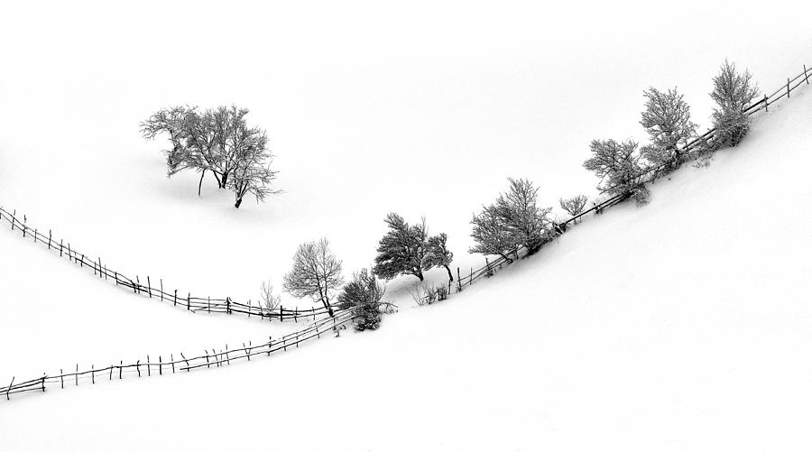 Winter Photograph - Wintertale by Andrei Iliescu
