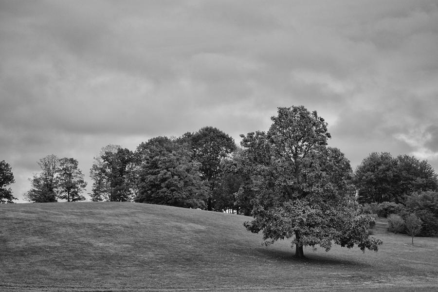 Black And White Photograph - Winterthur Estate by Shawn Colborn