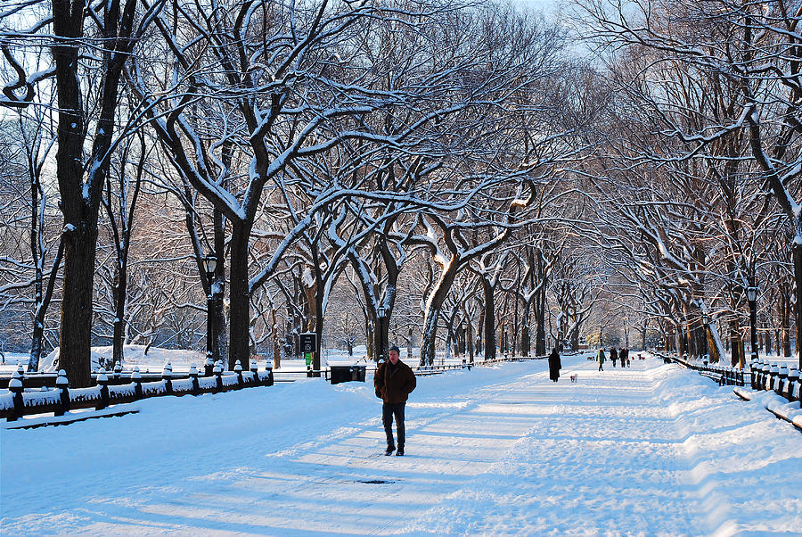 Wintertime in Central Park Photograph by James Kirkikis