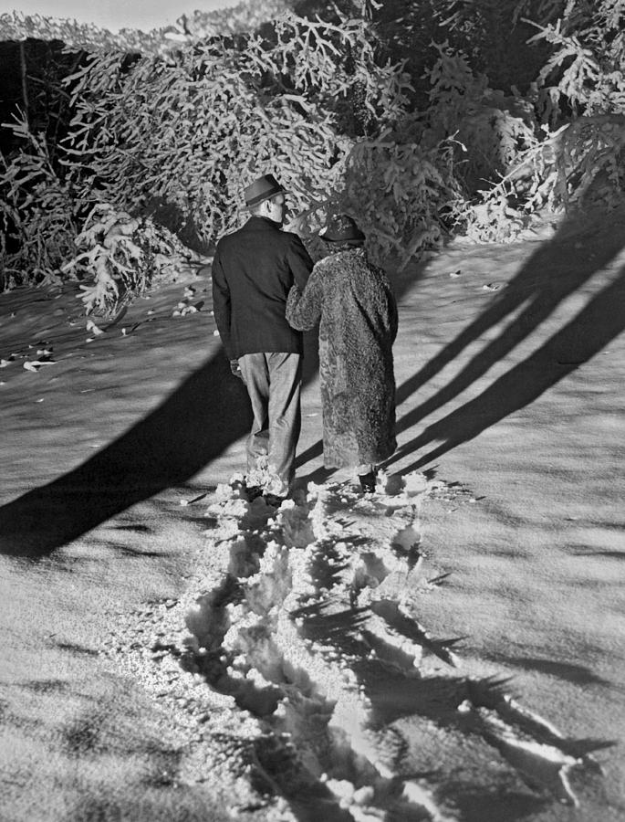 Winter Photograph - Wintertime Moonlight Stroll  by American School