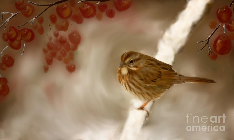 Wintertime Sparrow Painting by Beve Brown-Clark Photography