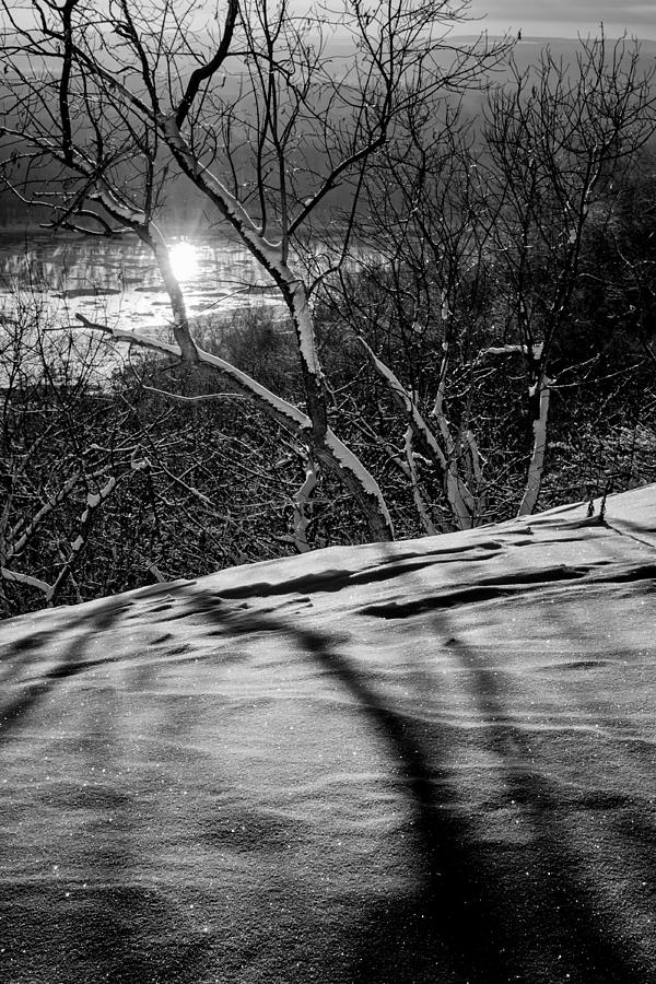 Wintertime Sorrow Photograph by John Williams