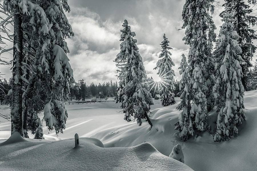 Winter Wonderland Harz in monochrome Photograph by Andreas Levi