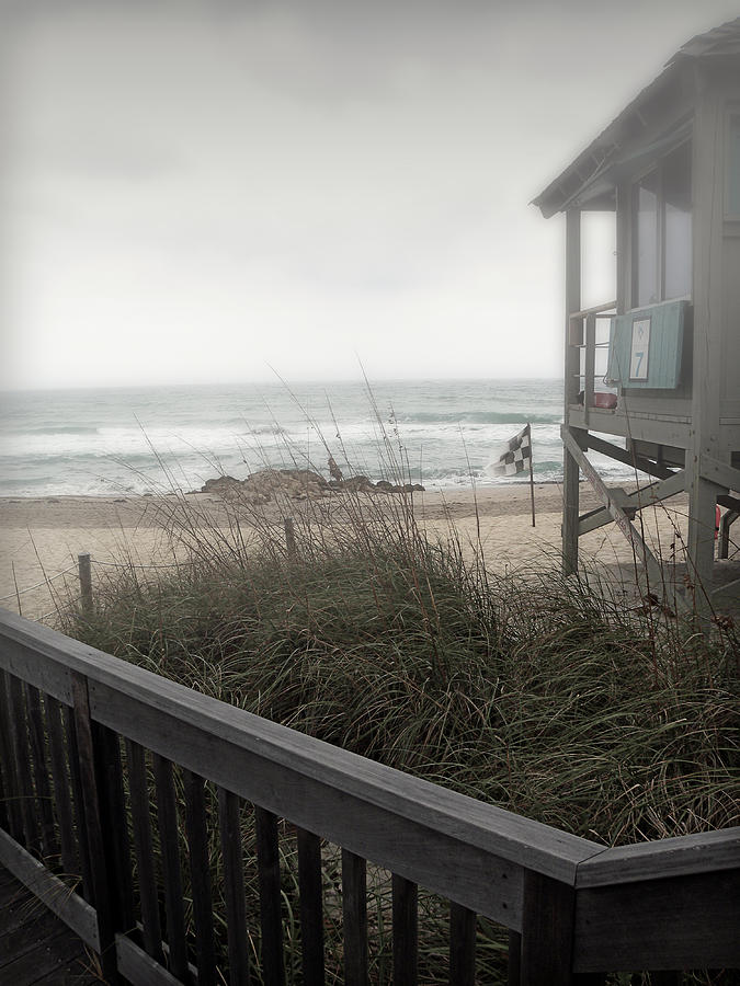 Wintery Beach Morning Photograph by Julie Palencia
