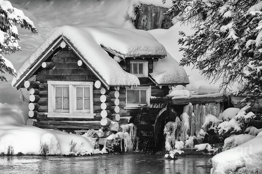 Wintery Cabin Monochrome Art by Kaylyn Franks Photograph by Kaylyn Franks