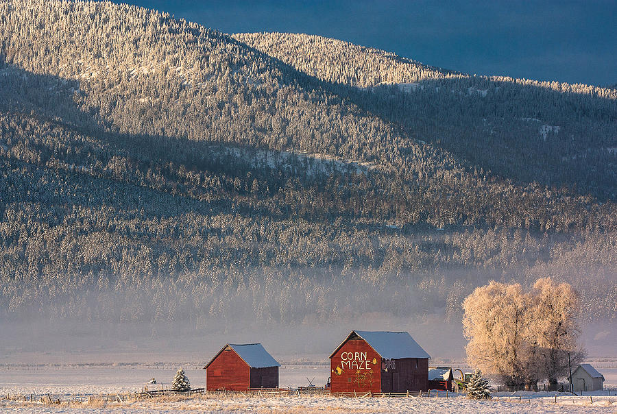 Mountain Photograph - Wintery Corn Maze by Jacki Smoldon
