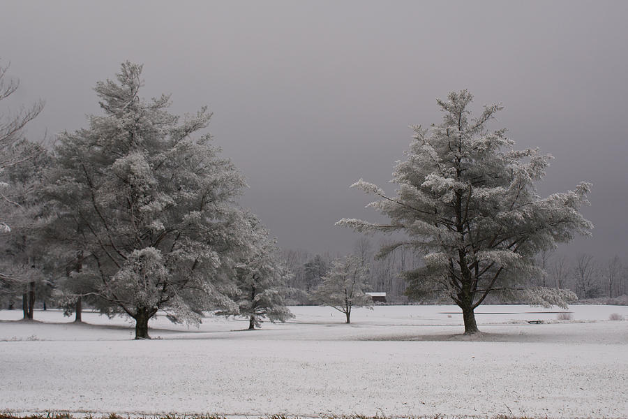 Wintery Landscape 1 Photograph by Douglas Barnett