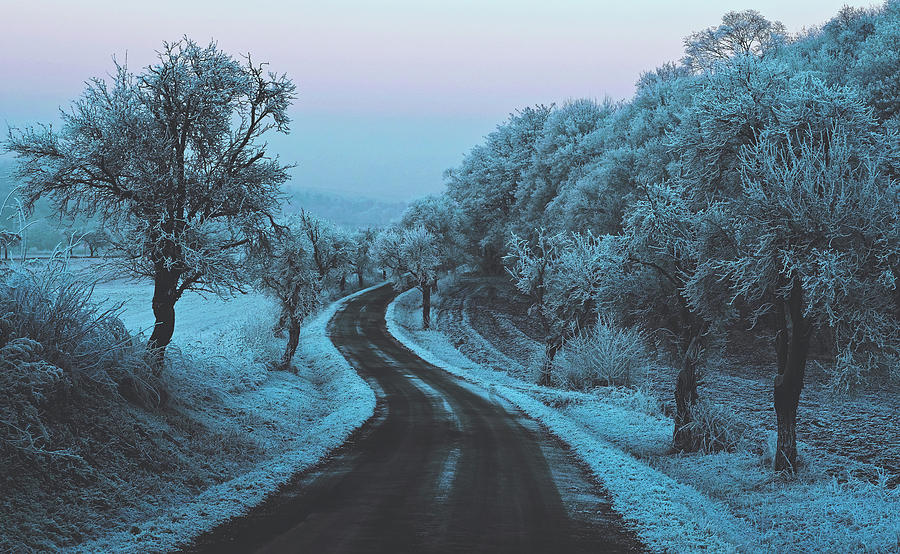 Wintry Country Road Photograph by Mountain Dreams