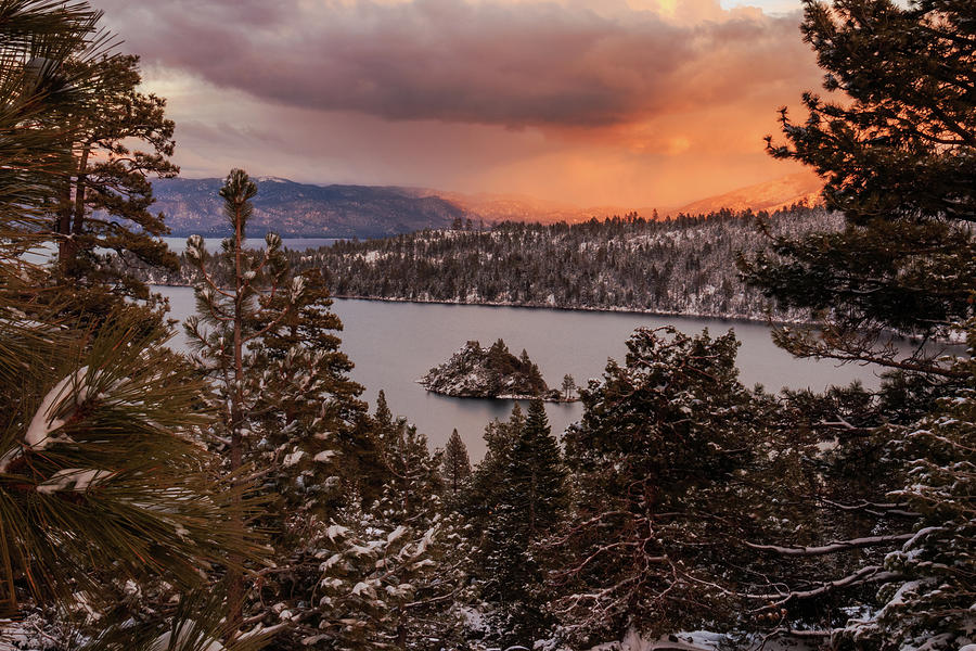 Landscape Photograph - Wintry Emerald Bay Trees at Sunset by Mike Herron