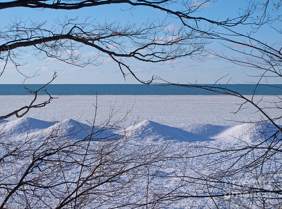 Wintry Lakeshore Photograph by Ann Horn