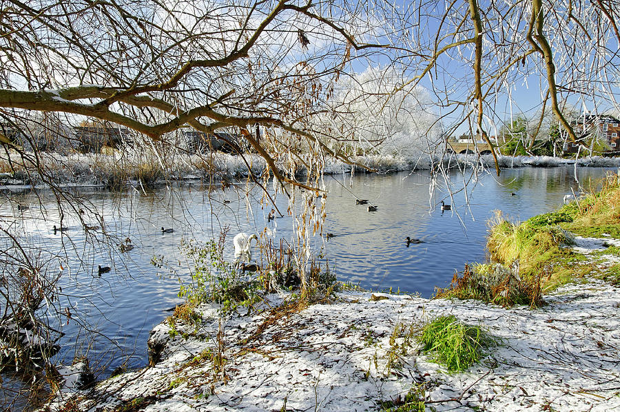 Wintry River at Newton Road Park Photograph by Rod Johnson