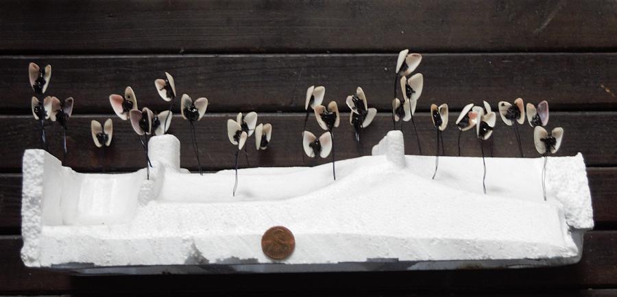 WIP Tiny Vulture Shells Photograph by Roger Swezey