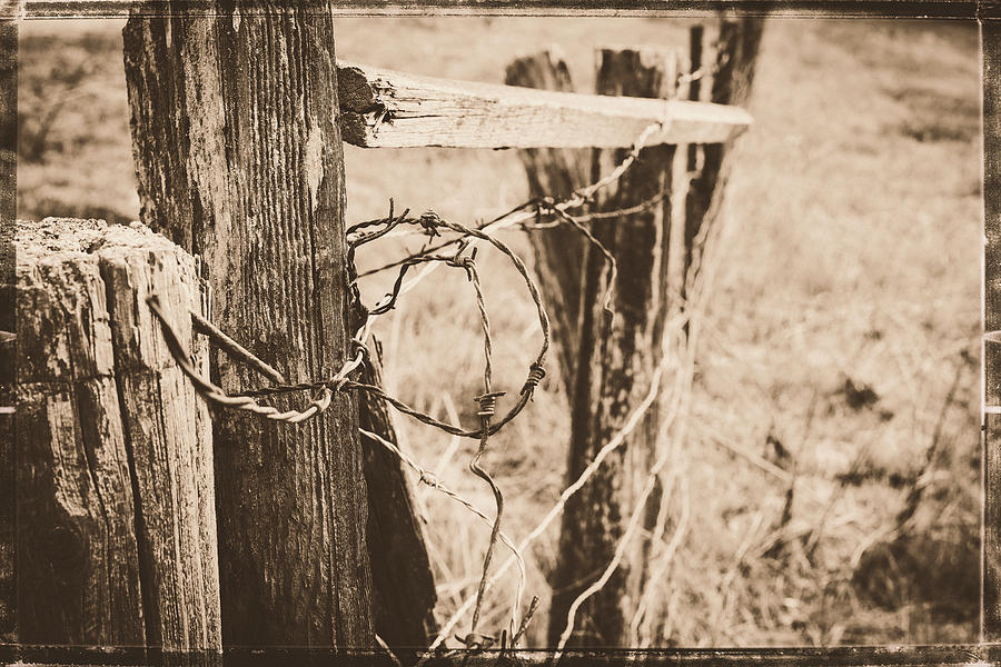 Wire And Wood - Artist Unknown Photograph by Caitlyn Grasso