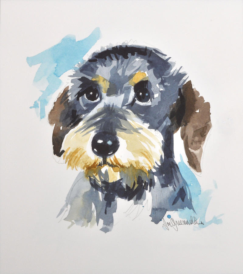 Dog Painting - Wire-Haired Dachshund by Joe Greenwald