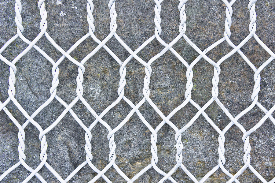 Abstract Photograph - Wire mesh by Tom Gowanlock