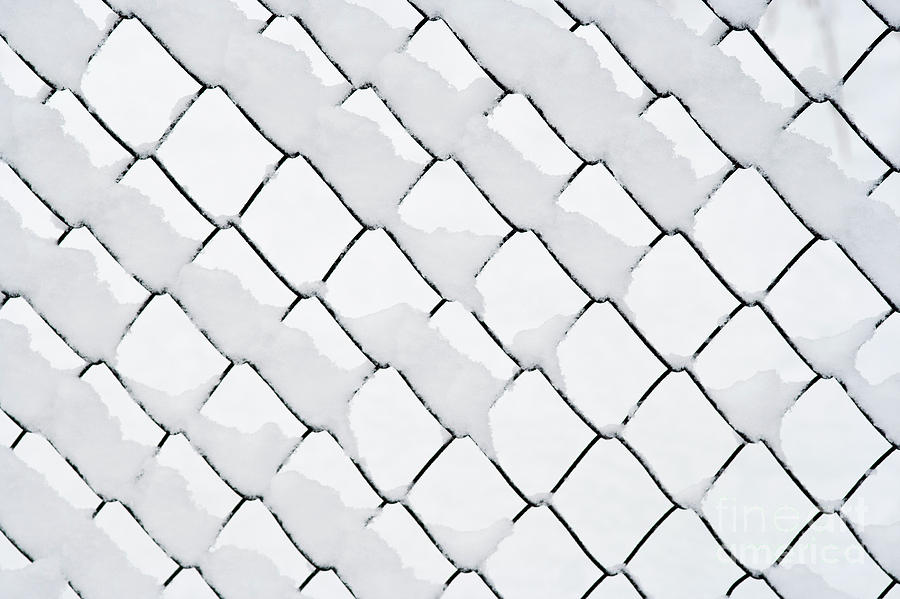Wire netting in winter Photograph by Michal Boubin
