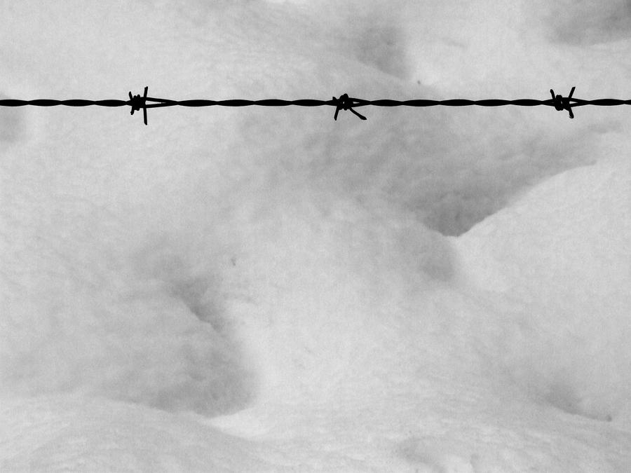 Wire Over Snow Photograph by Mark Alan Perry