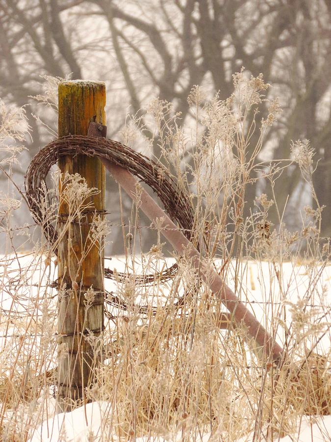 Wired in the Country Photograph by Lori Frisch