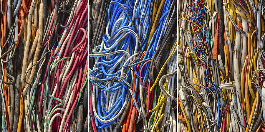 Wired Triptych Photograph by Denise Bush