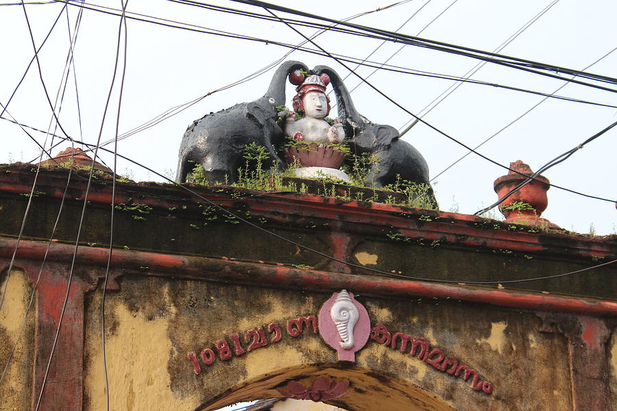 Wires and Lakshmi at Devi Temple, Kochi Photograph by Jennifer Mazzucco