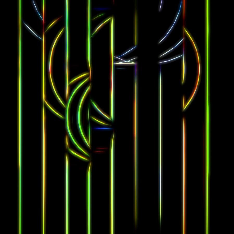 Wires Digital Art by Diana Mary Sharpton