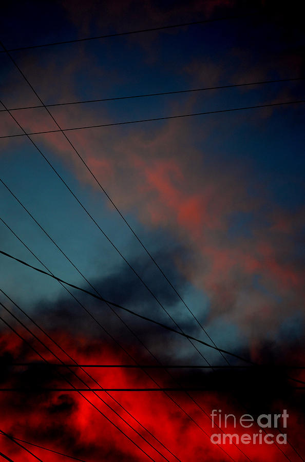 wires I Photograph by Diane montana Jansson