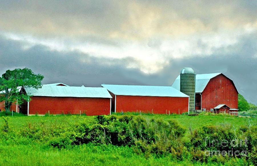 Wisconsin Barns and Silo Photograph by Janette Boyd