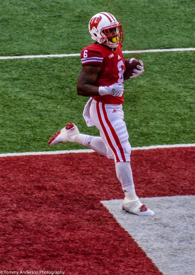 Football Photograph - Wisconsin Big Ten Football Touchdown by Tommy Anderson