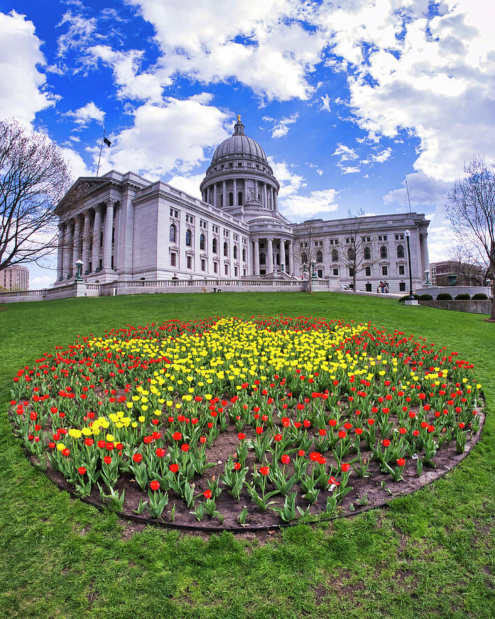 Wisconsin Capitol and Tulips 2 Photograph by Steven Ralser