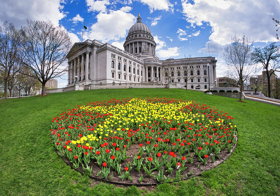 Wisconsin Capitol and Tulips Photograph by Steven Ralser