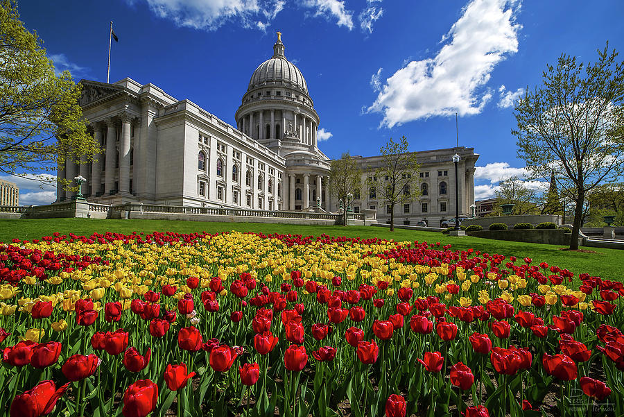 Capitol Splendor #1 - Wisconsin Capitol, Madison with the famous tulip foreground Photograph by Peter Herman