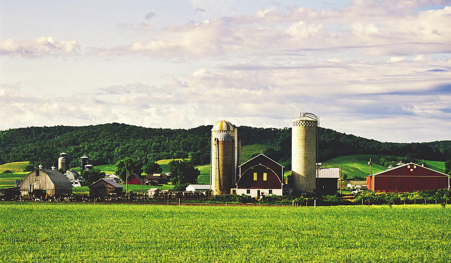 How many dairy plants are in wisconsin, Wisconsin Is America's Dairy ...