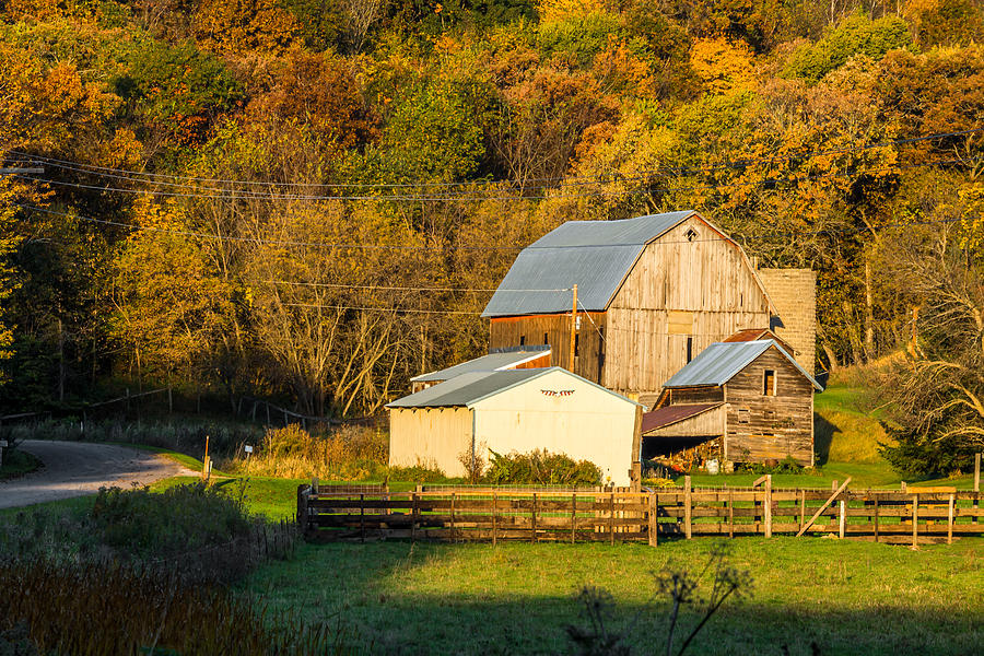 Wisconsin Farm At Fall #1 Photograph by Jeffrey Henry