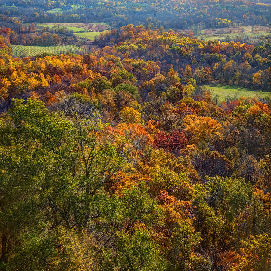 Wisconsin in Autumn - Holy Hill Fall Trees  Photograph by Jennifer Rondinelli Reilly - Fine Art Photography