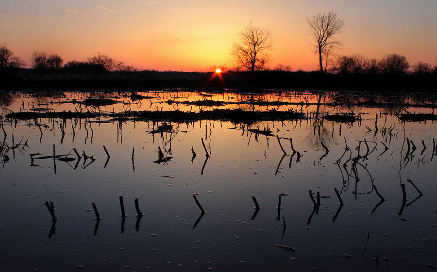 Wisconsin Sunset Photograph by Viviana  Nadowski