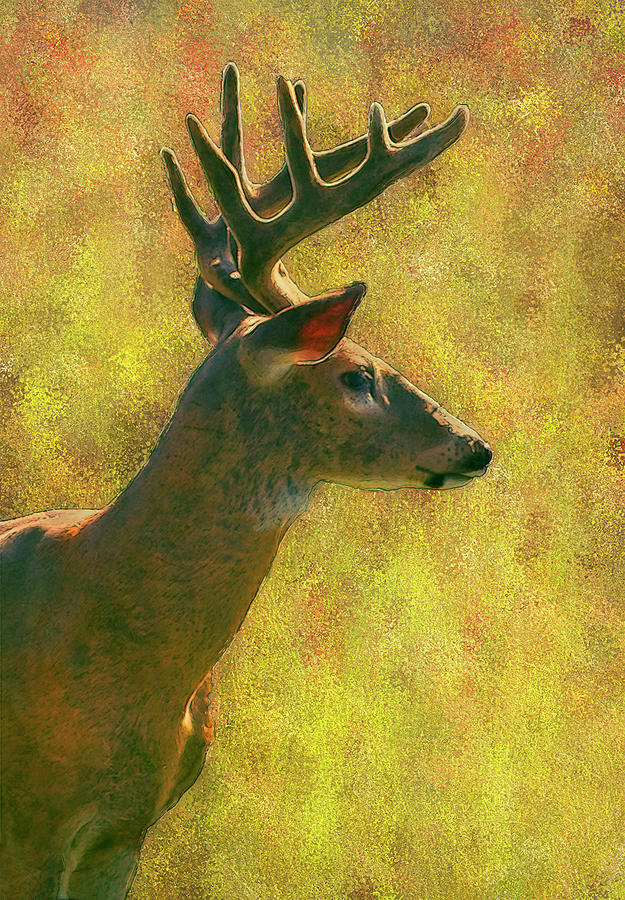 Deer Painting - Wisconsin White Tail Buck by Jack Zulli
