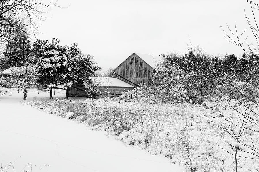 Wisconsin Winter Photograph by CJ Schmit