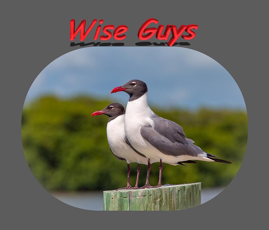 Bird Photograph - Wise Guys by John M Bailey