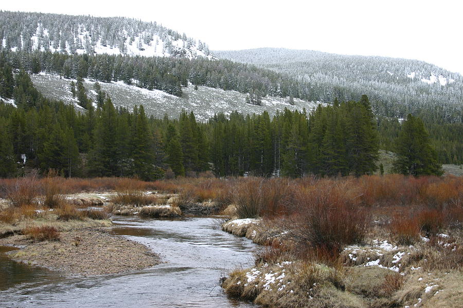 Wise River #1 Photograph by Nelson Strong - Fine Art America