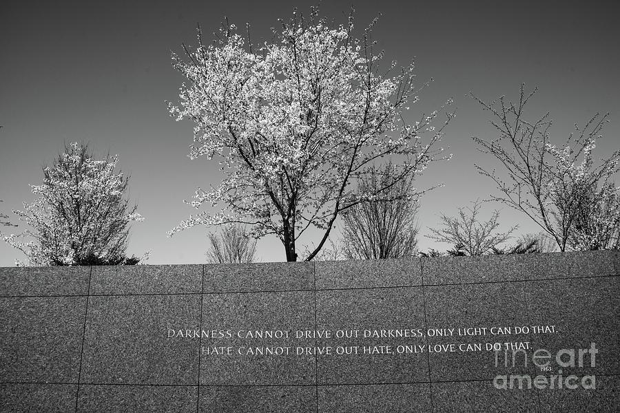 Martin Luther King Jr Photograph - Wise Words by Craig Leaper