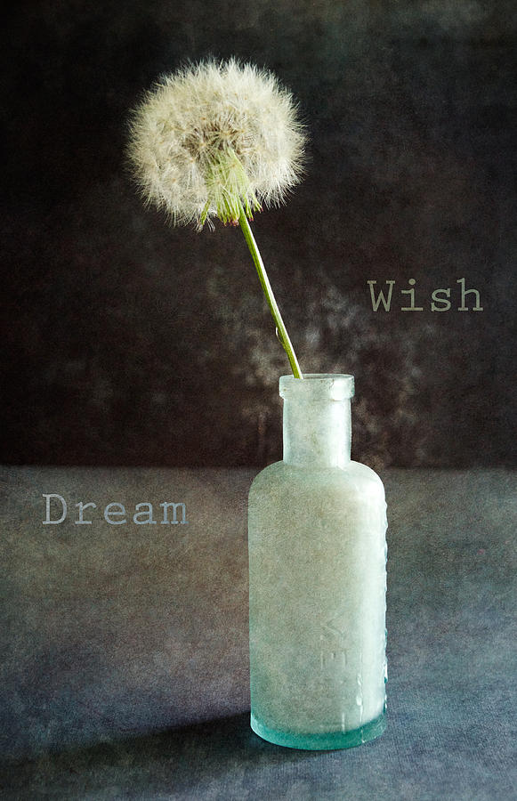 Wish and Dream Photograph by Randi Kuhne
