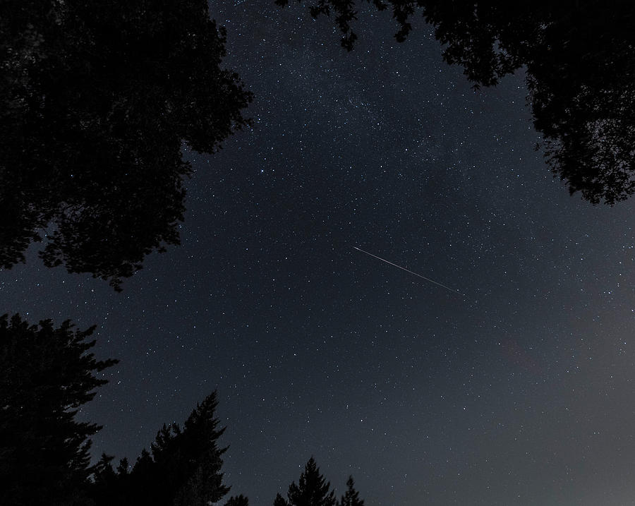 Wish upon a Star Photograph by Alex Lapidus