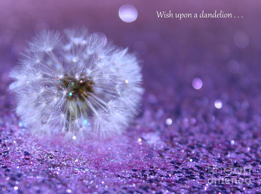 Flower Photograph - Wish Upon by Krissy Katsimbras