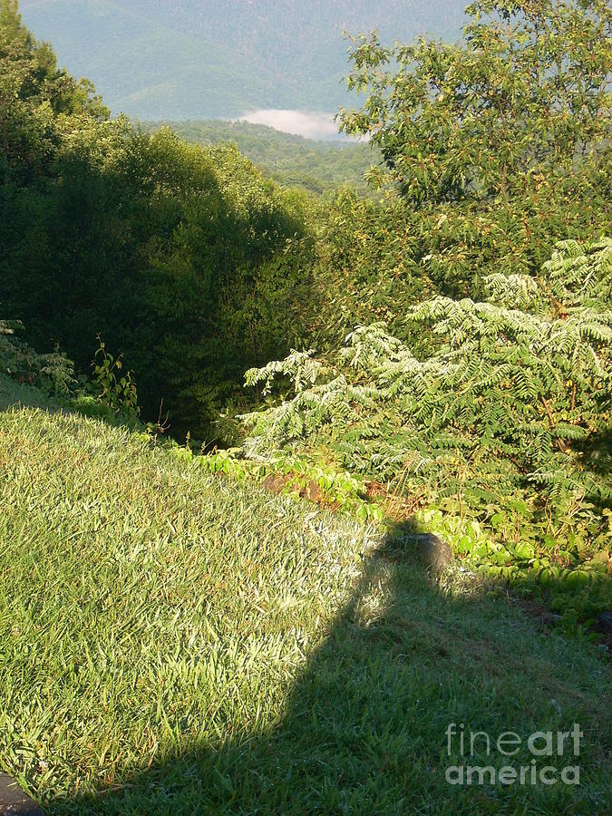 Dew Photograph - Wish you were here with us in the mountains by Beebe Barksdale-Bruner Dew Photograph - Wish you were here with us in the mountains by Beebe Barksdale-Bruner